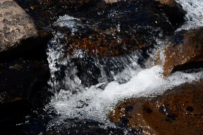 DSC_9939 (Large).JPG